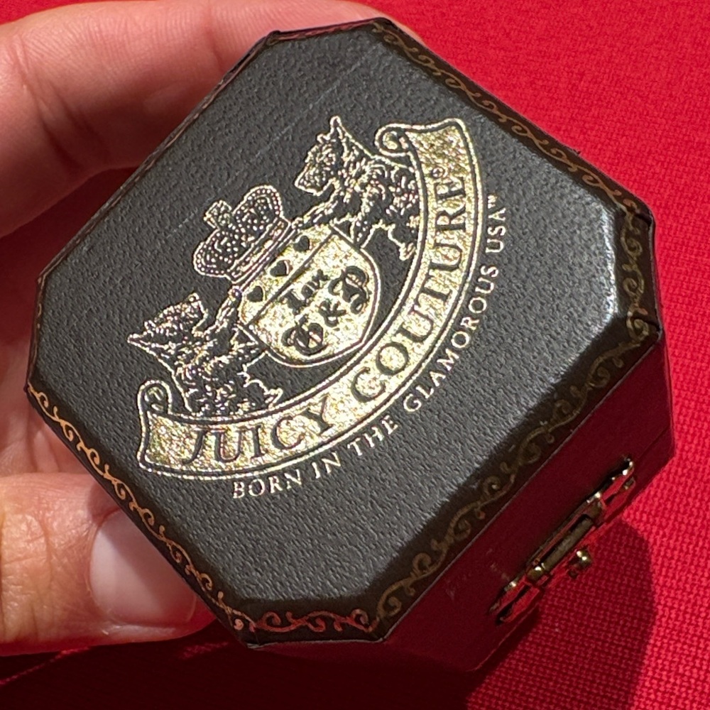 Vintage Juicy Couture Dog Charm earring Box jewelry Case EMPTY Pink Lining Y2K